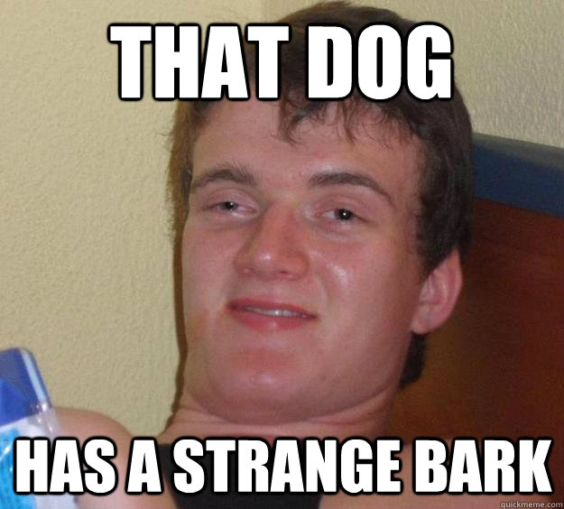 That dog has a strange bark  10 Guy