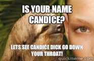 Is your name Candice? Lets see Candice dick go down your throat! - Is your name Candice? Lets see Candice dick go down your throat!  Creepy Sloth