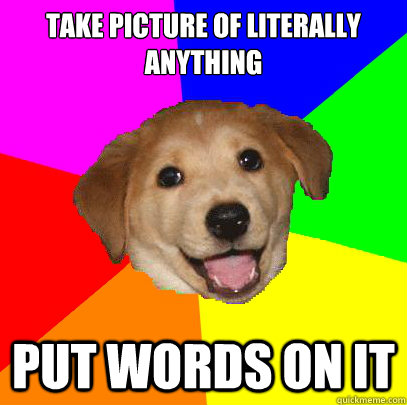 Take picture of literally anything Put words on it  Advice Dog