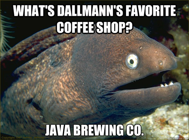 What's Dallmann's favorite coffee shop? Java Brewing Co.  Bad Joke Eel