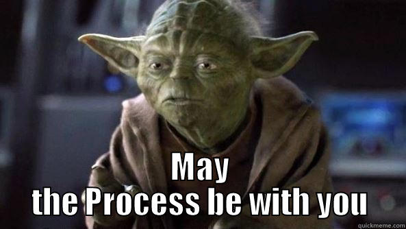  MAY THE PROCESS BE WITH YOU True dat, Yoda.