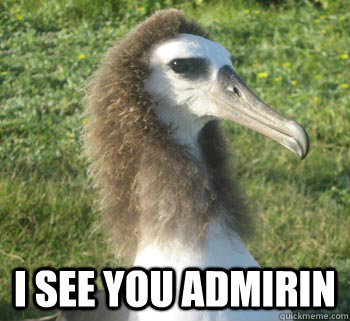  I see you admirin -  I see you admirin  Albatross is boss