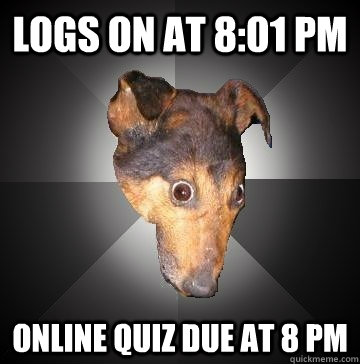 Logs on at 8:01 pm Online quiz due at 8 pm  Depression Dog