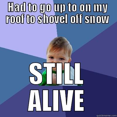 roof snow - HAD TO GO UP TO ON MY ROOF TO SHOVEL OFF SNOW STILL ALIVE Success Kid