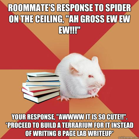 Roommate's response to spider on the ceiling, 