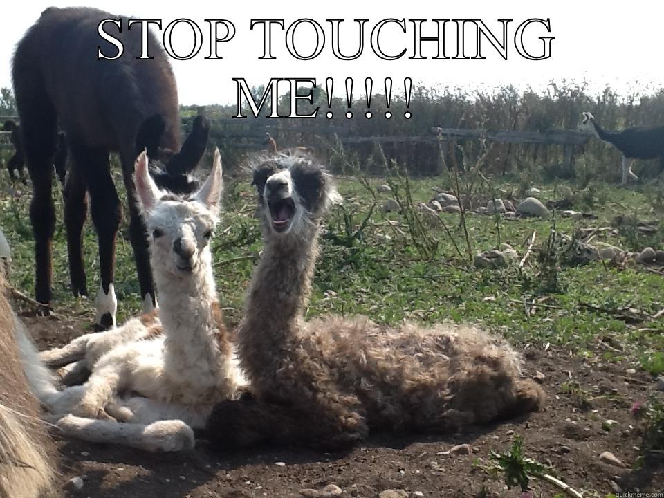 Aspen&Dave the black heads - STOP TOUCHING ME!!!!!  Misc