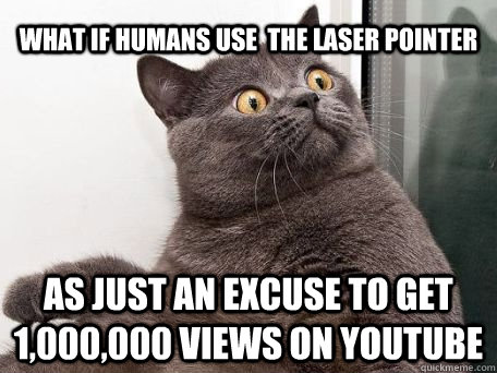 What if humans use  the laser pointer  as just an excuse to get 1,000,000 views on youtube  conspiracy cat