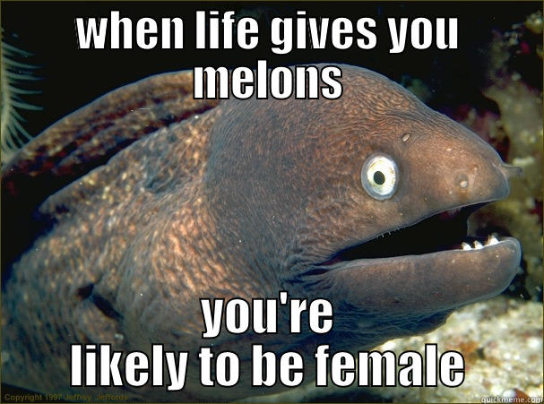 life gives you melons - WHEN LIFE GIVES YOU MELONS YOU'RE LIKELY TO BE FEMALE Bad Joke Eel