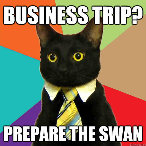 business trip? prepare the swan  Business Cat