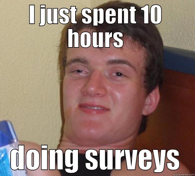 I JUST SPENT 10 HOURS DOING SURVEYS 10 Guy