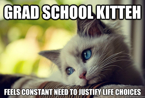 grad school kitteh feels constant need to justify life choices  First World Problems Cat