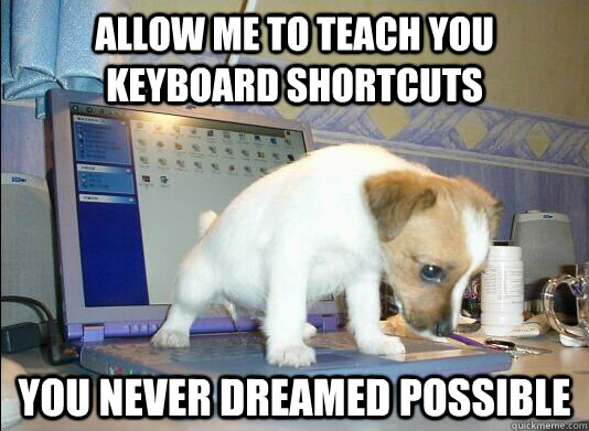 Allow me to teach you keyboard shortcuts You never dreamed possible - Allow me to teach you keyboard shortcuts You never dreamed possible  Laptop puppy