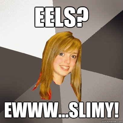 Eels? Ewww...slimy! - Eels? Ewww...slimy!  Musically Oblivious 8th Grader