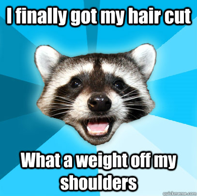 I finally got my hair cut What a weight off my shoulders - I finally got my hair cut What a weight off my shoulders  Lame Pun Coon