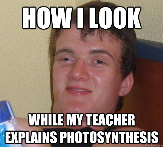 How I LOOK WHILE MY TEACHER EXPLAINS PHOTOSYNTHESIS   10 Guy