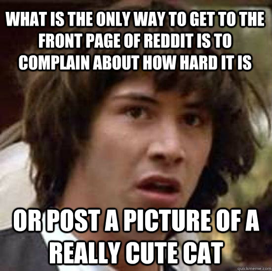 What is the only way to get to the front page of reddit is to complain about how hard it is or post a picture of a really cute cat  conspiracy keanu