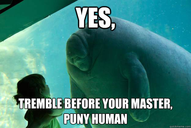 yES, Tremble before your master, 
puny human - yES, Tremble before your master, 
puny human  Overlord Manatee