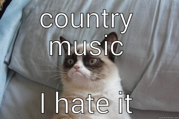 hate country music - COUNTRY MUSIC I HATE IT Grumpy Cat