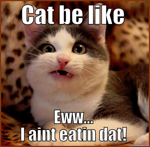 Cat won't eat -      CAT BE LIKE       EWW... I AINT EATIN DAT! Misc