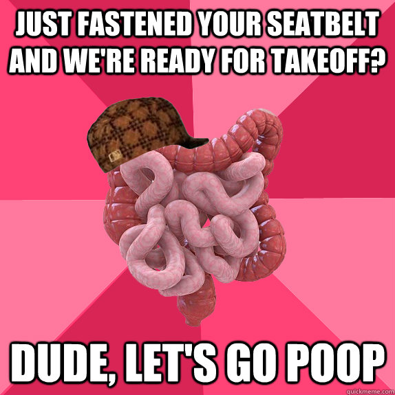 Just fastened your seatbelt and we're ready for takeoff? Dude, let's go poop  Scumbag Intestines