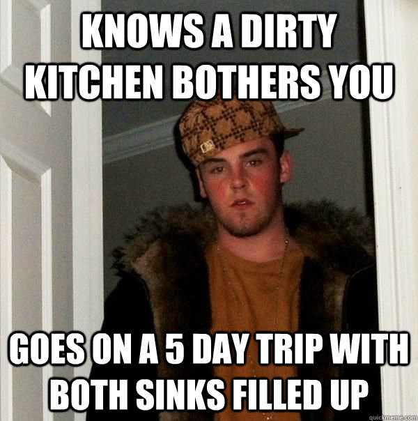 Knows a dirty kitchen bothers you Goes on a 5 day trip with both sinks filled up  Scumbag Roommate