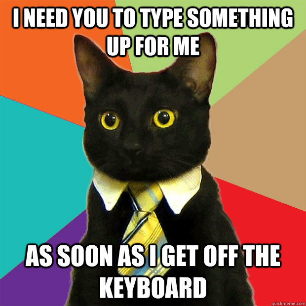 I need you to type something up for me as soon as I get off the keyboard  Business Cat