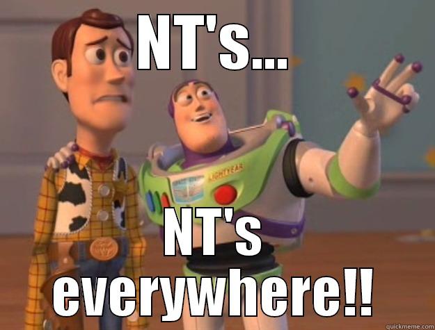 NT'S... NT'S EVERYWHERE!! Toy Story