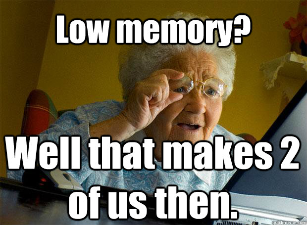 Low memory? Well that makes 2 of us then.   Caption 5 goes here  Grandma finds the Internet