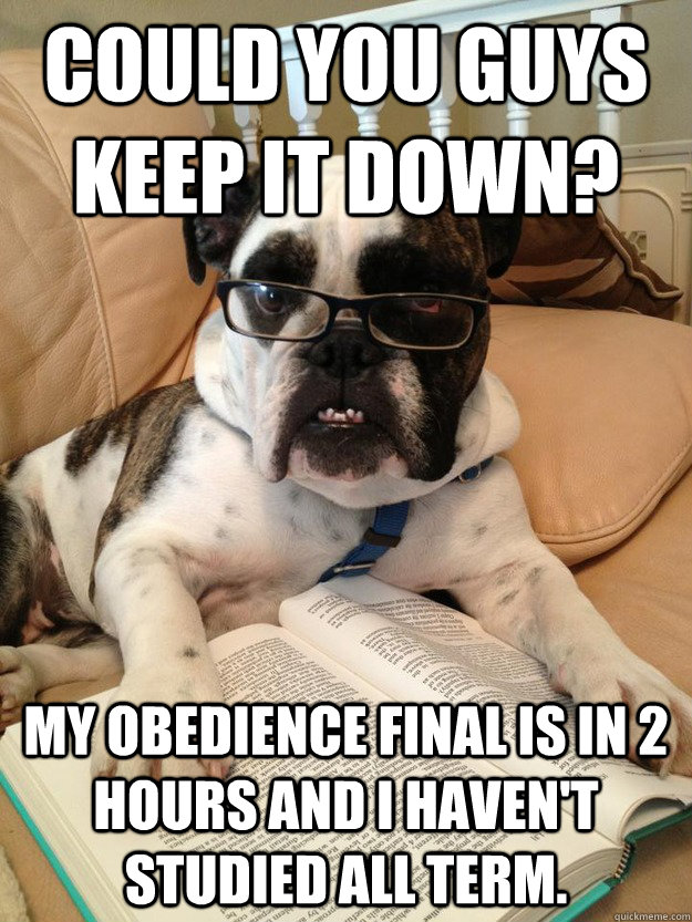 Could you guys keep it down? My obedience final is in 2 hours and I haven't studied all term. - Could you guys keep it down? My obedience final is in 2 hours and I haven't studied all term.  Finals dog