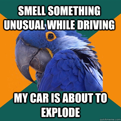 Smell something unusual while driving My car is about to explode - Smell something unusual while driving My car is about to explode  Paranoid Parrot