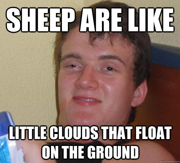 Sheep are like Little clouds that float on the ground - Sheep are like Little clouds that float on the ground  10 Guy