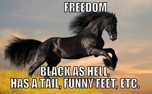                               FREEDOM                                    BLACK AS HELL, HAS A TAIL, FUNNY FEET, ETC. Misc