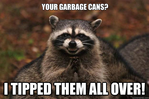 Your garbage cans? I tipped them ALL over! - Your garbage cans? I tipped them ALL over!  Evil Plotting Raccoon