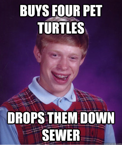 Buys four pet turtles Drops them down sewer - Buys four pet turtles Drops them down sewer  Bad Luck Brian