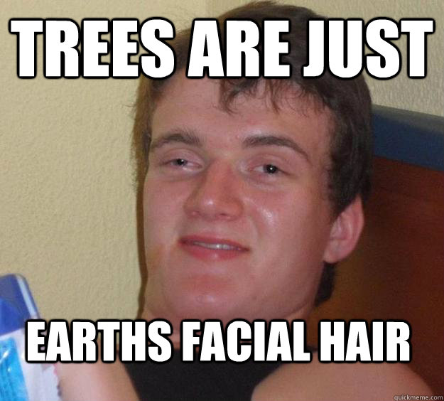 Trees are just Earths facial hair  10 Guy