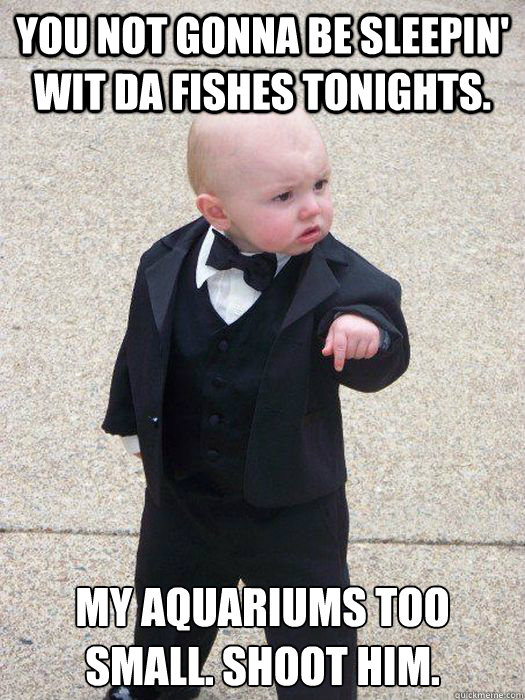 You not gonna be sleepin' wit da fishes tonights. My aquariums too small. Shoot him.  Baby Godfather