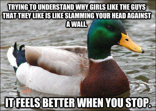 Trying to understand why girls like the guys that they like is like slamming your head against a wall. It feels better when you stop. - Trying to understand why girls like the guys that they like is like slamming your head against a wall. It feels better when you stop.  Actual Advice Mallard