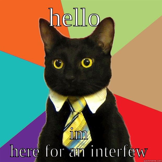 HELLO  IM HERE FOR AN INTERFEW Business Cat