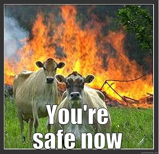  YOU'RE SAFE NOW Evil cows