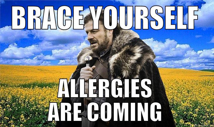 Spring Ned - BRACE YOURSELF ALLERGIES ARE COMING Misc