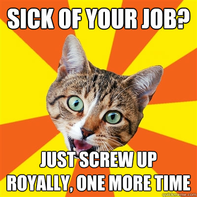 Sick of your Job? Just Screw up royally, one more time  Bad Advice Cat