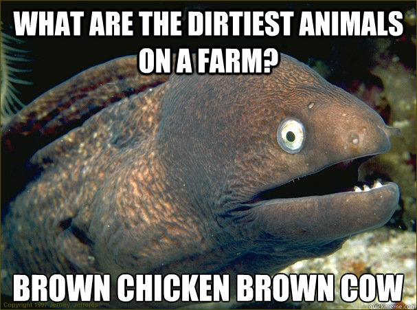 What are the dirtiest animals on a farm? Brown chicken brown cow - What are the dirtiest animals on a farm? Brown chicken brown cow  Bad Joke Eel