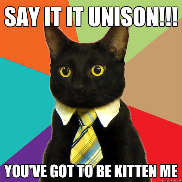 Say it it Unison!!! You've got to be kitten me  Business Cat