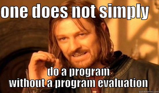 program eval - ONE DOES NOT SIMPLY    DO A PROGRAM WITHOUT A PROGRAM EVALUATION Boromir