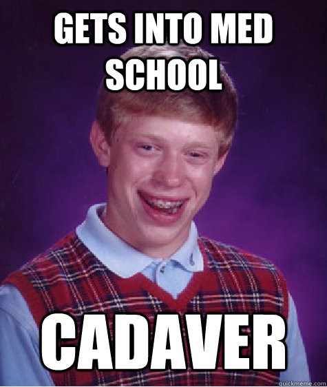 Gets into Med school Cadaver  - Gets into Med school Cadaver   Bad Luck Brian