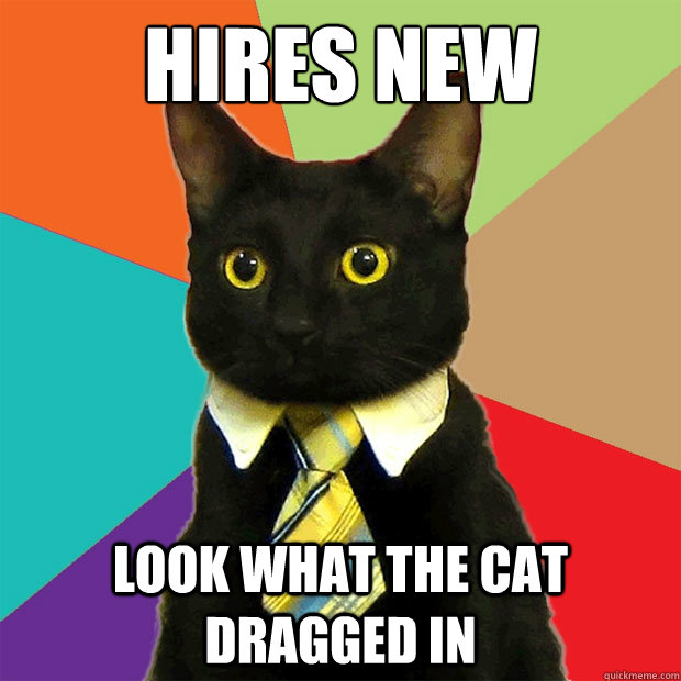 Hires new employee look what the cat dragged in  Business Cat