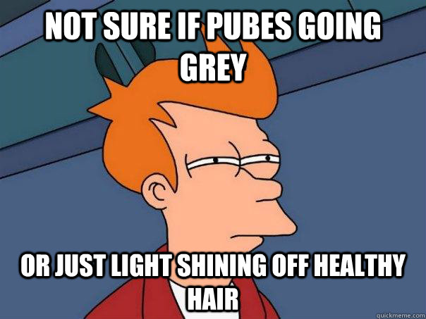 Not sure if pubes going grey Or just light shining off healthy hair  Futurama Fry