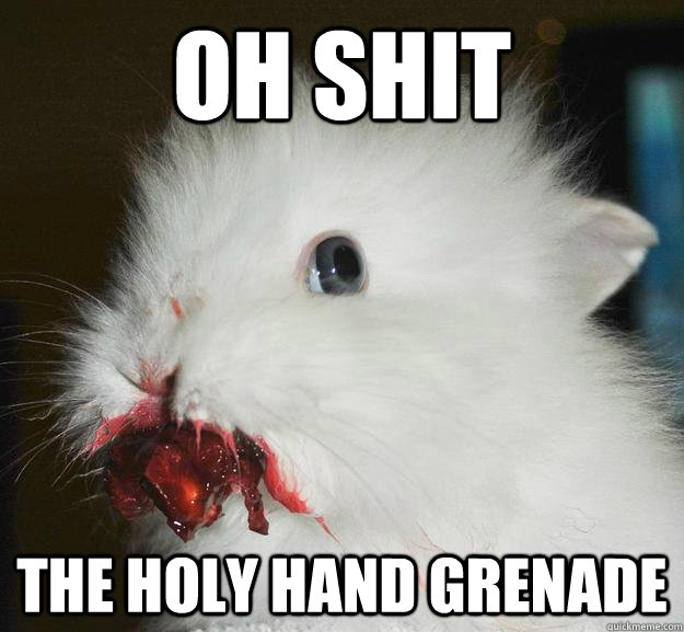 oh shit the holy hand grenade  