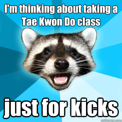 I'm thinking about taking a Tae Kwon Do class just for kicks - I'm thinking about taking a Tae Kwon Do class just for kicks  Lame Pun Coon