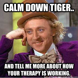 Calm down tiger.. and tell me more about how your therapy is working. - Calm down tiger.. and tell me more about how your therapy is working.  Condescending Wonka